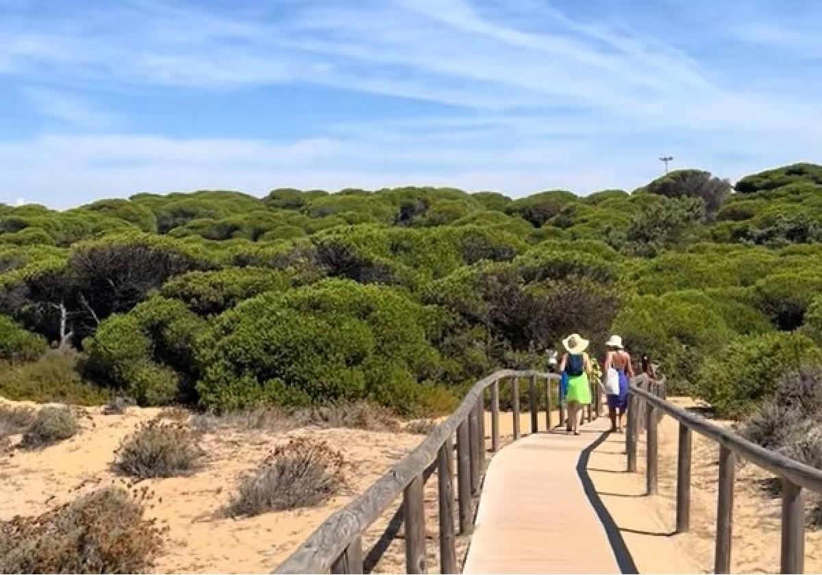 El problema que tuvo un bañista que fue a una playa de Huelva