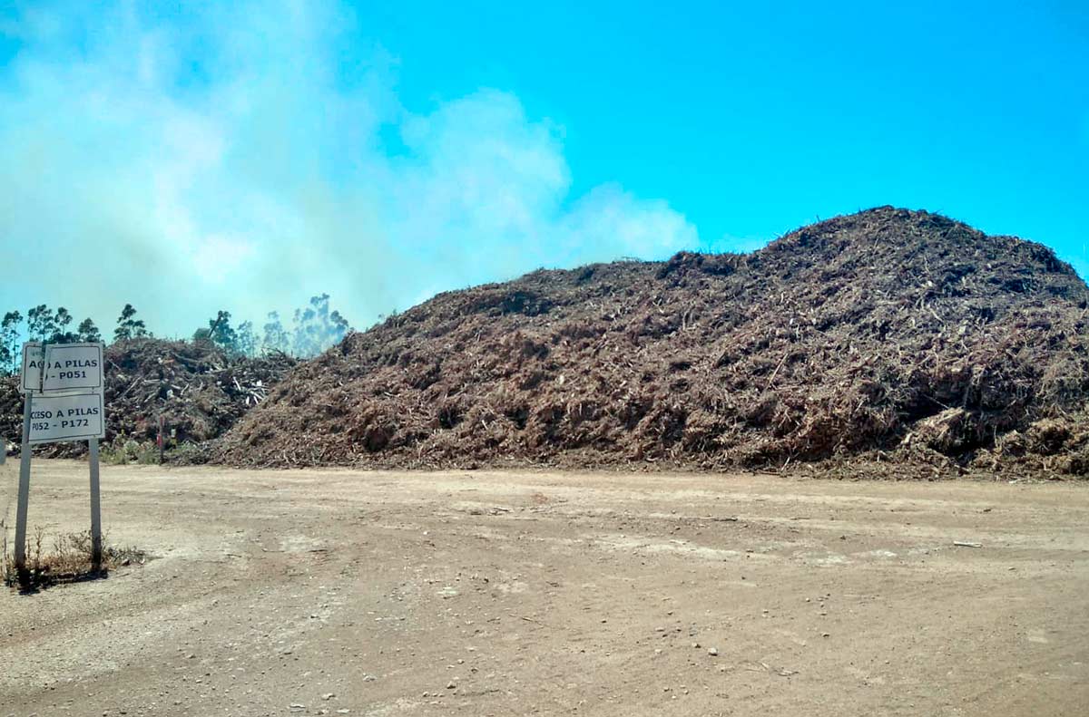 Montaña de combustible vegetal en las instalaciones de ENCE