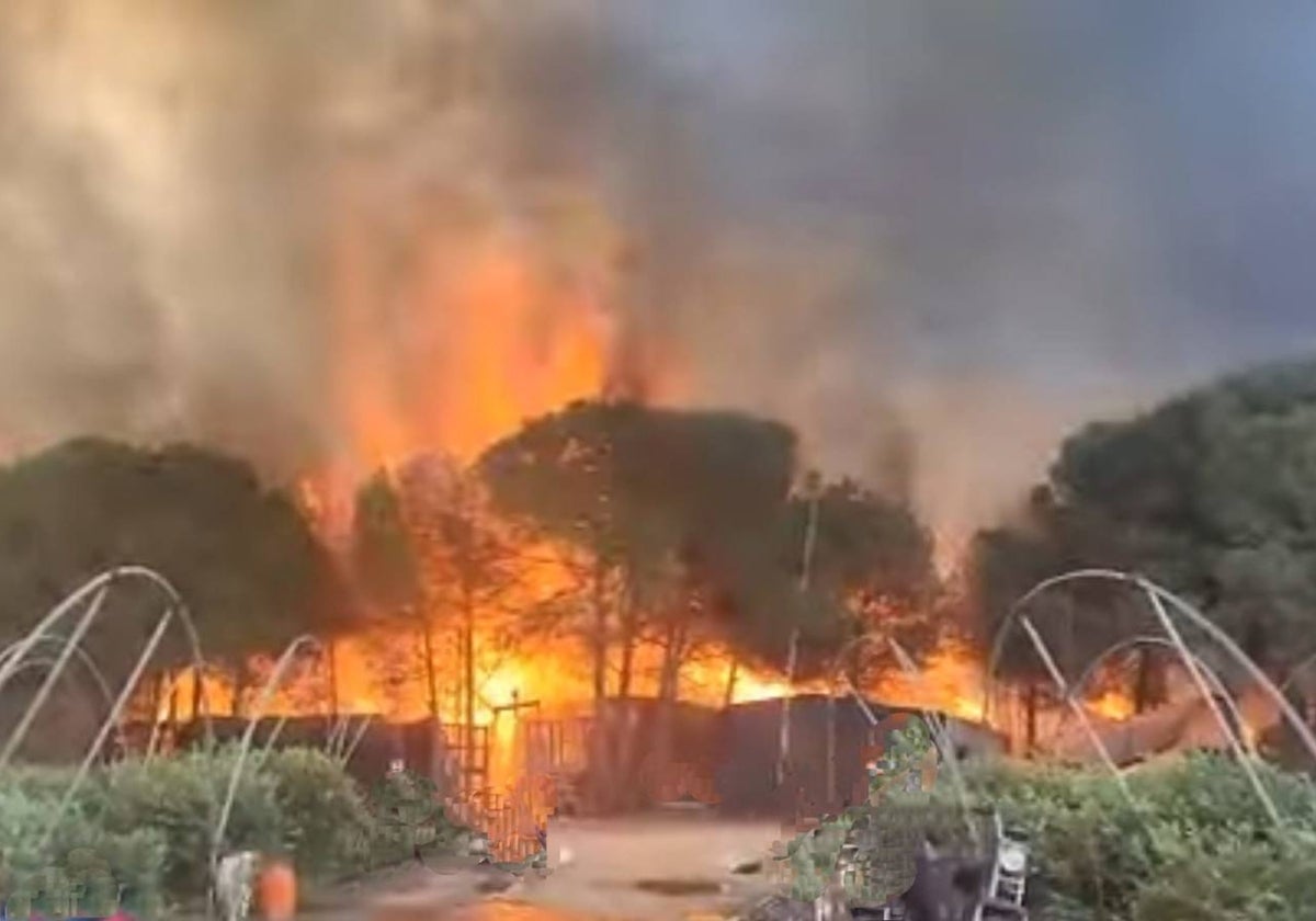 El incendio se ha declarado en una zona de chabolas de Lucena del Puerto