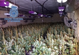 Desmantelada en Huelva y Sevilla una banda dedicada a robar droga a otros narcotraficantes