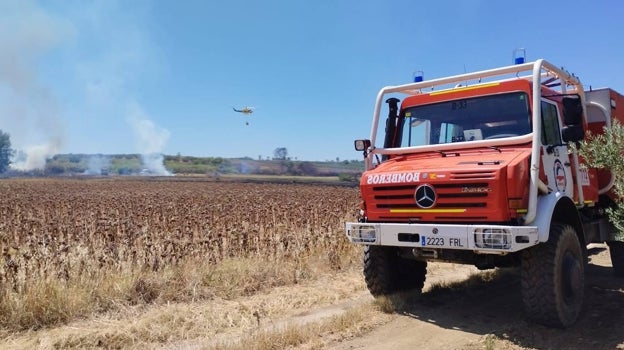 Incendio declarado en un cañaveral junto a la A-484