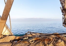 Detienen a un patrón de pesca de Huelva acusado de causar la muerte de cuatro marineros