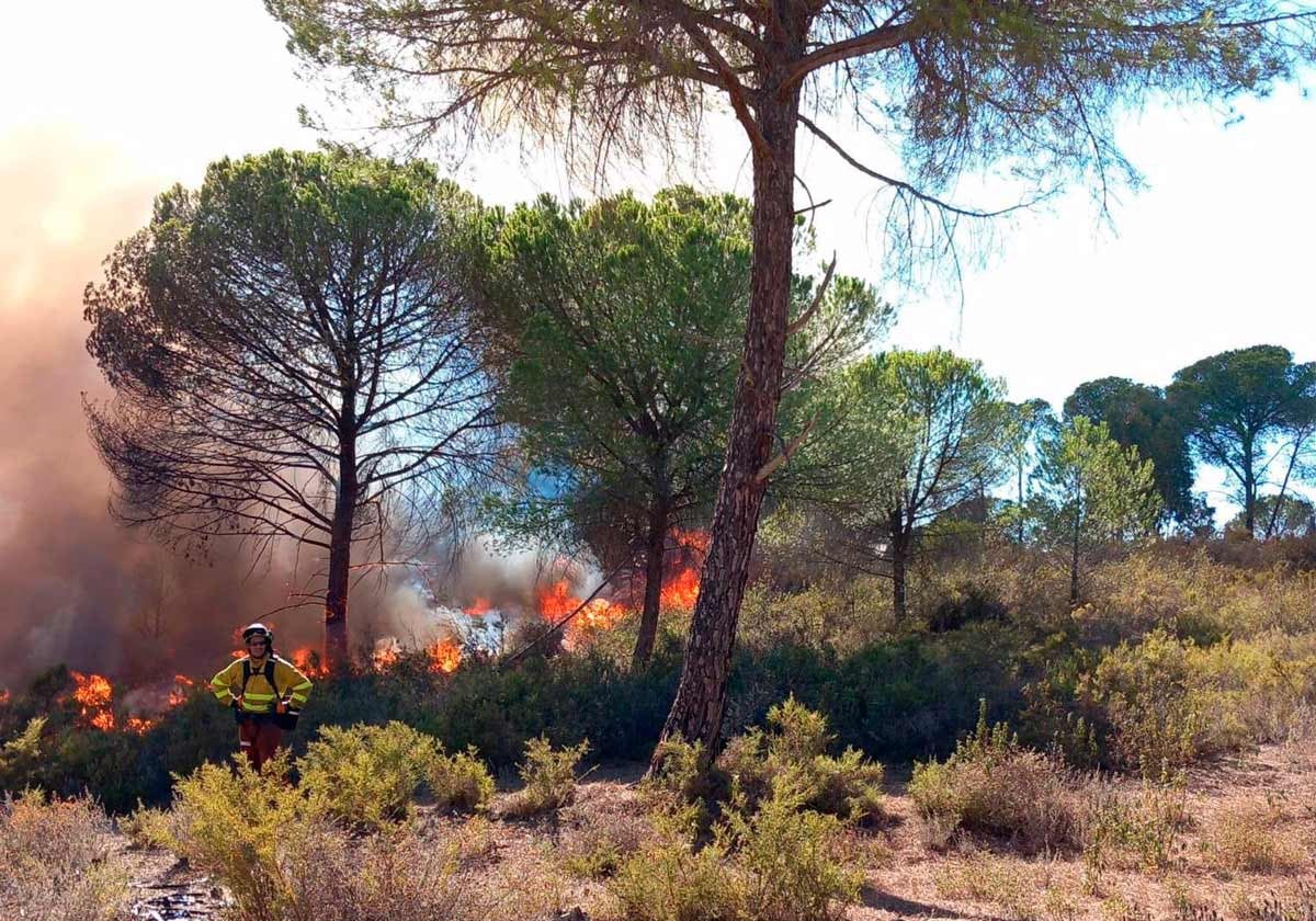 Efectivos del Infoca trabajan en la extinción del fuego declarado en un paraje natural de Bonares