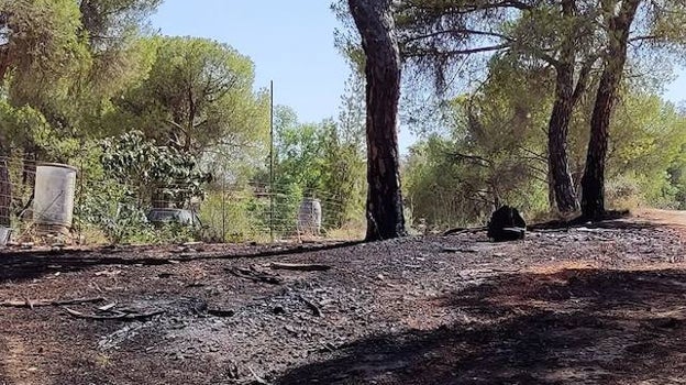Incendio extinguido junto a una vivienda cerca de Beas