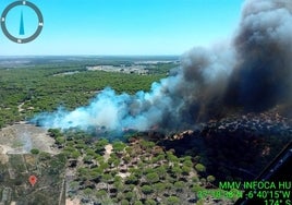 Declaran Zona Catastrófica el área dañada en el incendio de agosto en Bonares