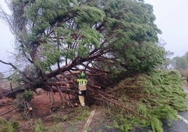 Los estragos del temporal en Huelva: un centenar de incidencias en toda la provincia, más de la mitad en la capital