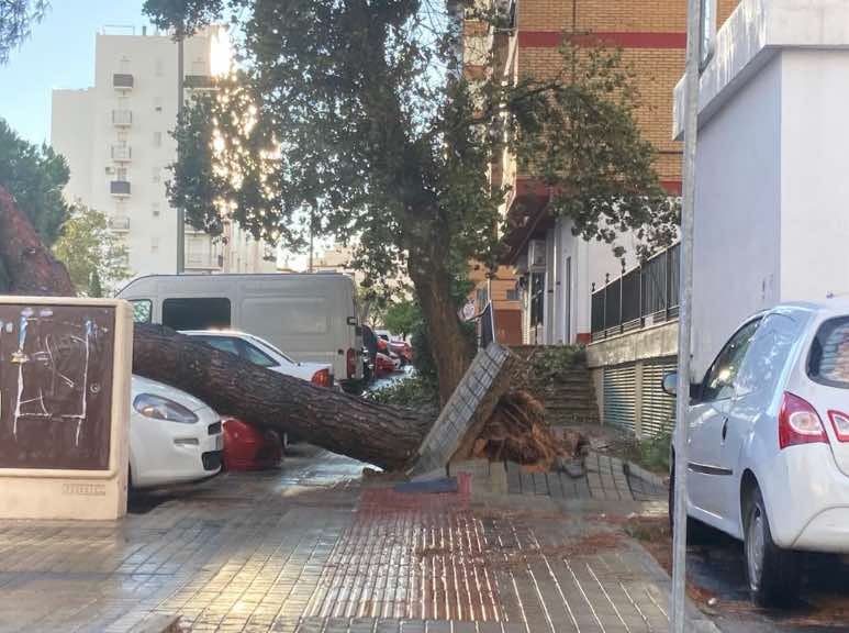 Los estragos de &#039;Bernard&#039; en Huelva