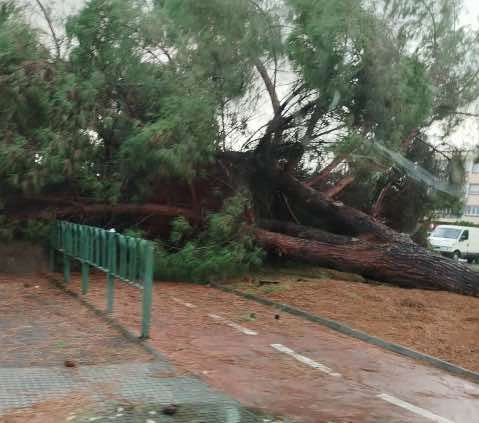 Los estragos de &#039;Bernard&#039; en Huelva