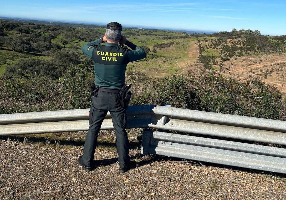 Labores de vigilancia de un agente