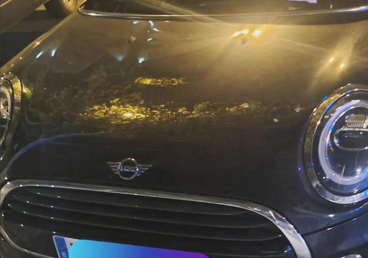 El coche interceptado por la Policía Local