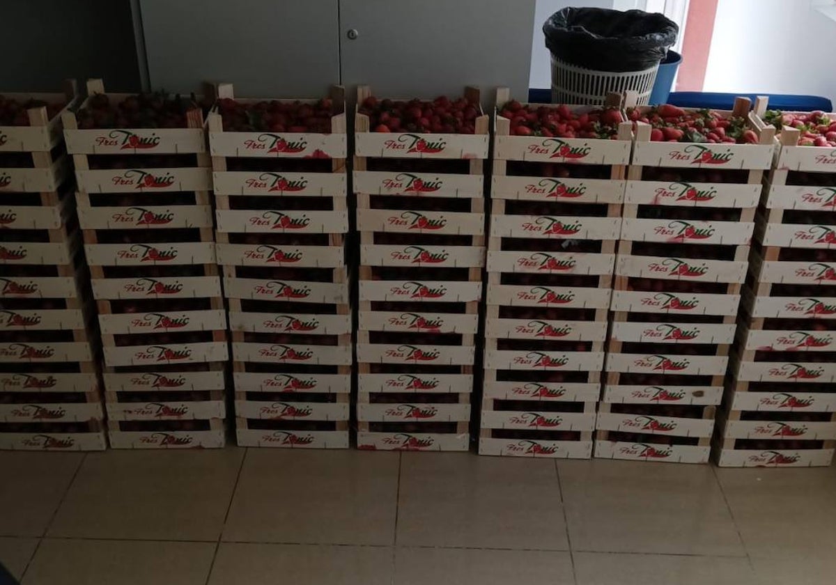 La fruta intervenida