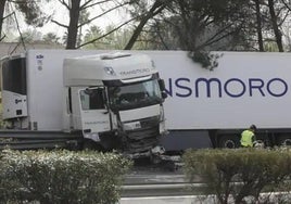 La empresa de Huelva a la que pertenecía el camión del accidente mortal de Los Palacios dice estar «sobrecogida, consternada y rota de dolor»