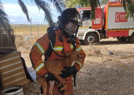 Imagen secundaria 1 - Momentos de la intervención de los efectivos de emergencia en el incendio declarado en una vivienda de Ayamonte