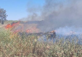 El Infoca controla un incendio declarado en un paraje de Trigueros