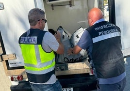 Denuncian a dos personas por capturar de manera ilegal atún rojo en la costa de Huelva