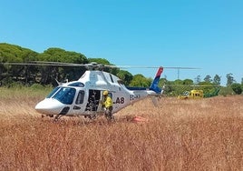 Controlado un incendio forestal en Cartaya que ha quemado 4,5 hectáreas