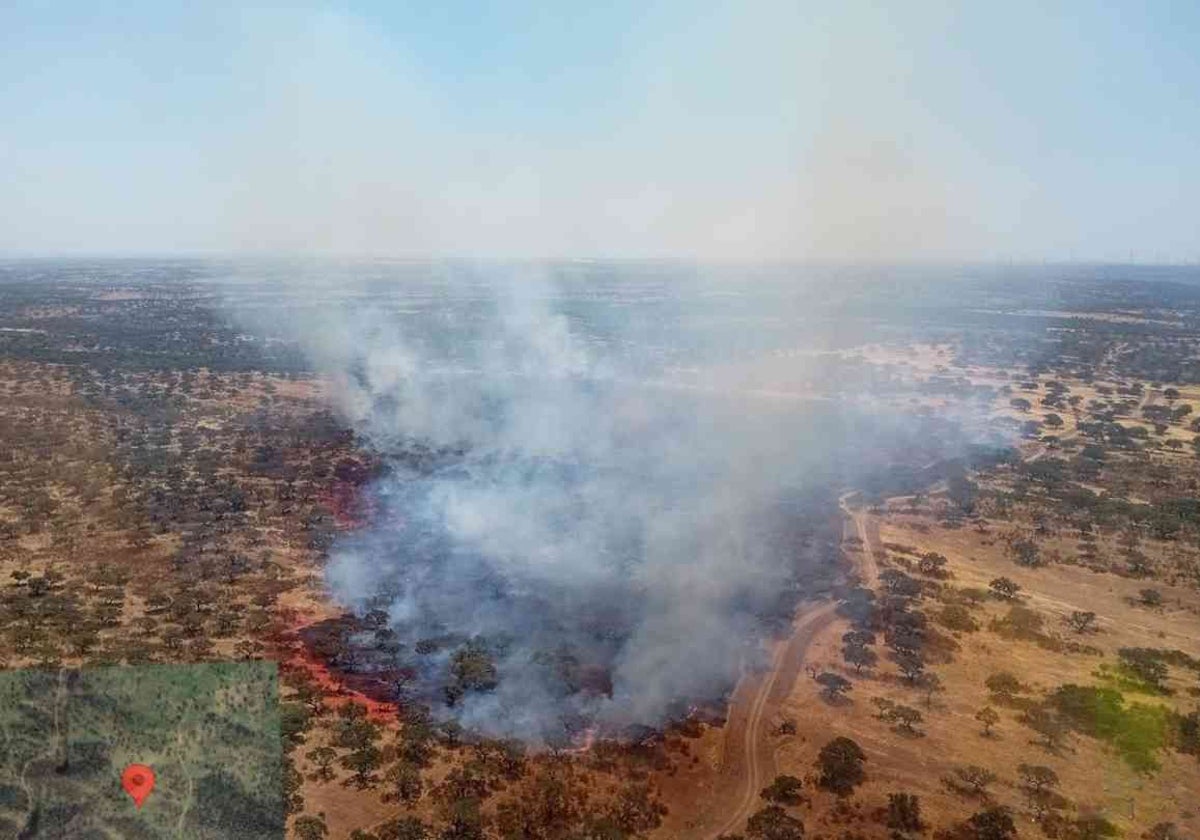 El incendio declarado este mediodía