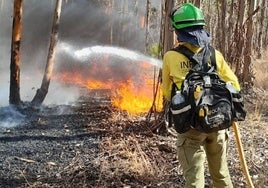 Extinguido el incendio forestal originado este viernes en Villanueva de los Castillejos