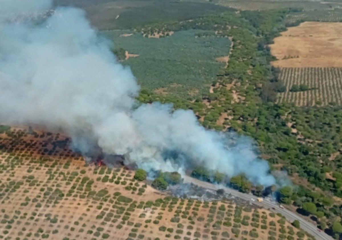 Vista del incendio declarado en término municipal de Almonte