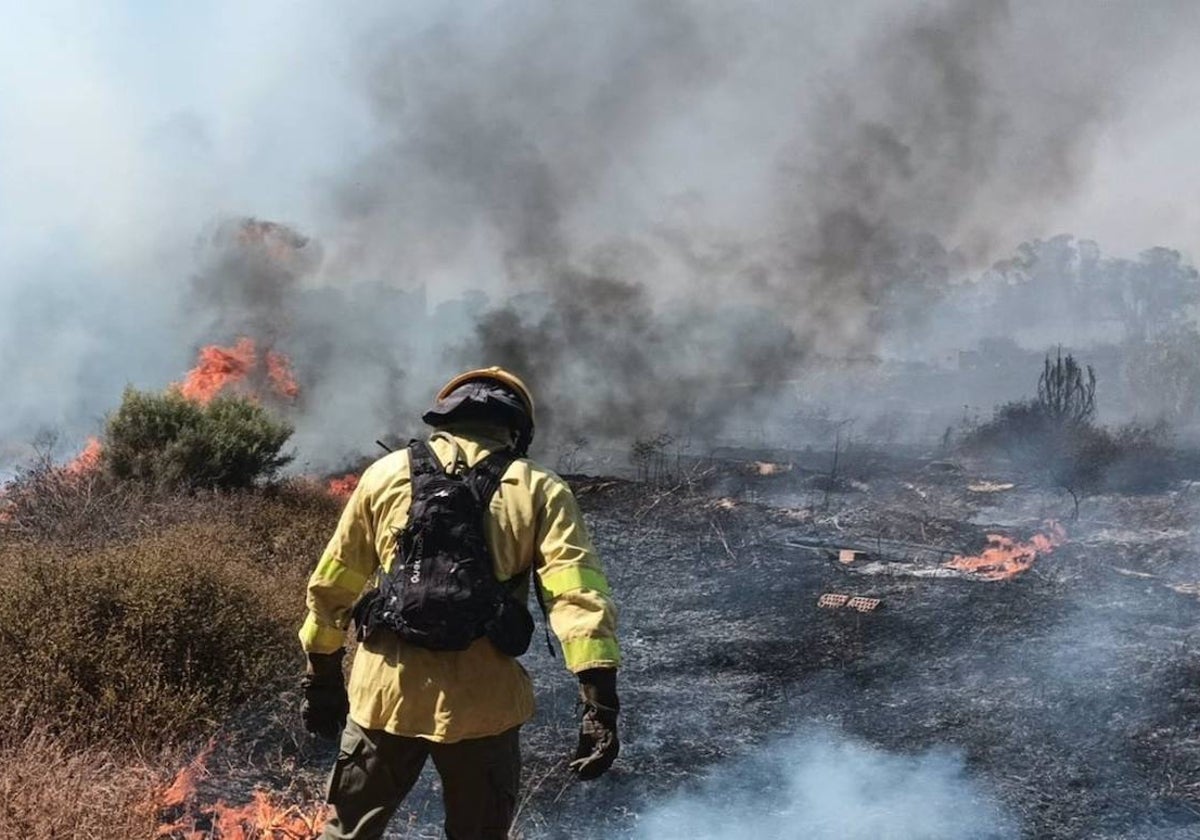 Bombero forestal del Plan Infoca trabaja en un incendio