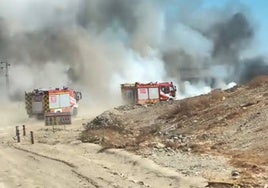 «Parece que hay alguien empeñado en darle fuego a los campos de Bonares y sospechamos de él, pero no hay manera de pillarlo»