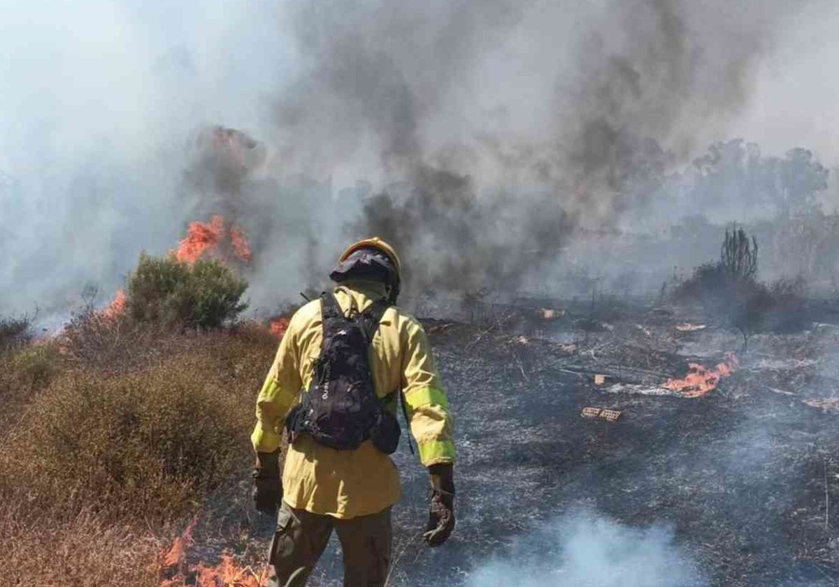 Bombero forestal del Plan Infoca trabaja en un incendio