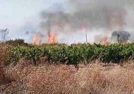 Relacionan con al menos ocho incendios forestales y agrícolas intencionados al detenido en Bollullos