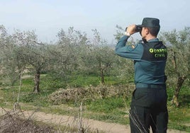 La Guardia Civil esclarece diez robos perpetrados en parcelas de San Juan del Puerto y Trigueros