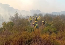 Efectivos del Infoca apagan un fuego en el paraje Los Llanos de Moguer