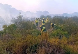 Controlado el incendio  declarado este viernes en el paraje Los Llanos de Moguer