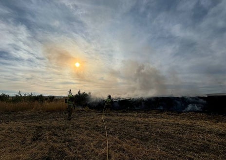 Imagen secundaria 1 - Extinguen incendios en Almonte, Escacena y Trigueros