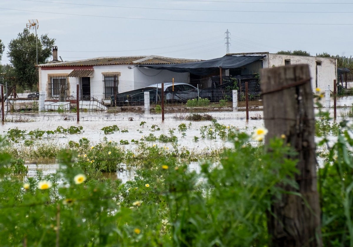 El agua ha entrado en varias fincas agrícolas y casas de campo de Huelva capital y Gibraleón