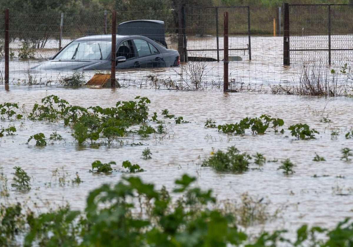 El desbordamiento del río Odiel a su paso por el paraje Los Salones