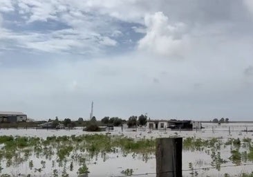 Tren de borrascas en Huelva: El río Odiel se desborda en Gibraleón