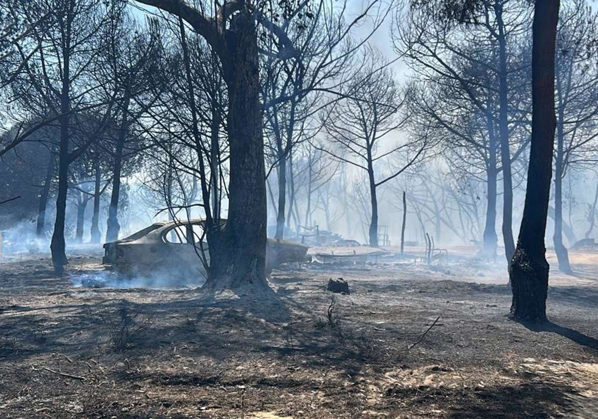 La zona afectada por las llamas