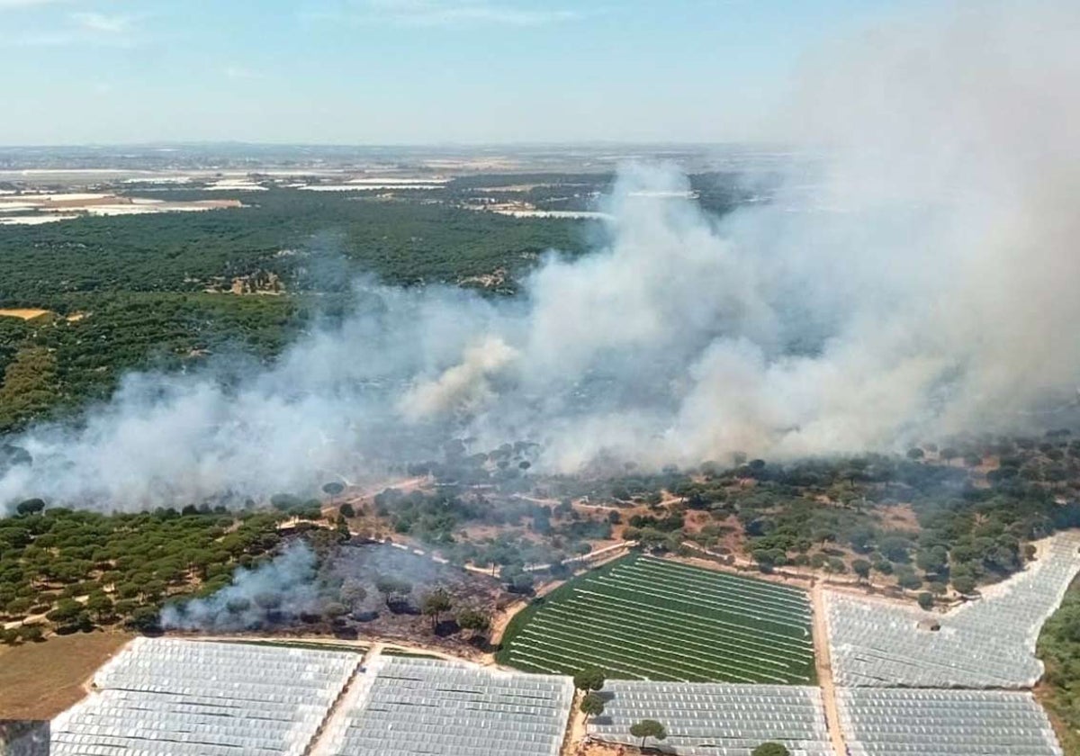 Incendio declarado en paraje Cruz del Arpa de Moguer