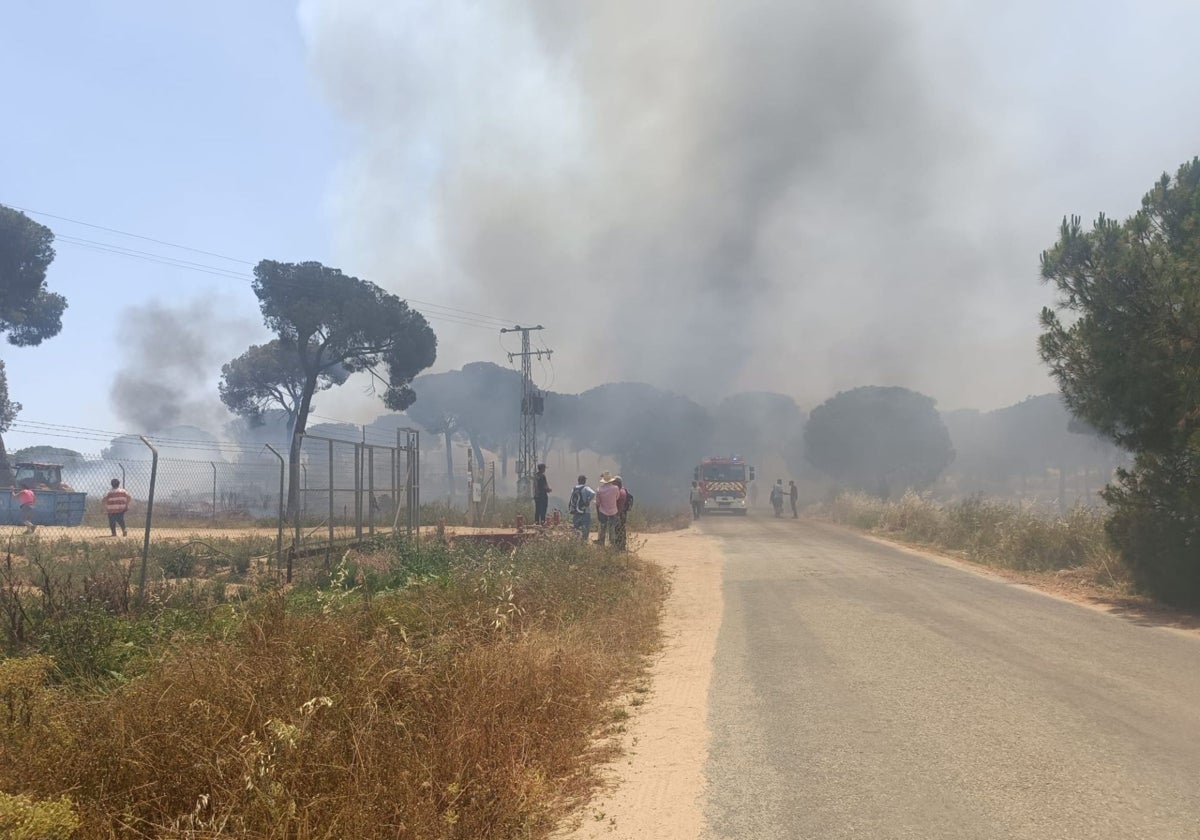 El incendio declarado este jueves en un paraje de Lucena del Puerto