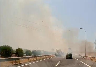 Incendio de pastos con una llamativa columna de humo junto a la entrada de Huelva