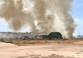 Consorcio e Infoca tratan de impedir que un incendio de pasto alcance un parque logístico de Gibraleón