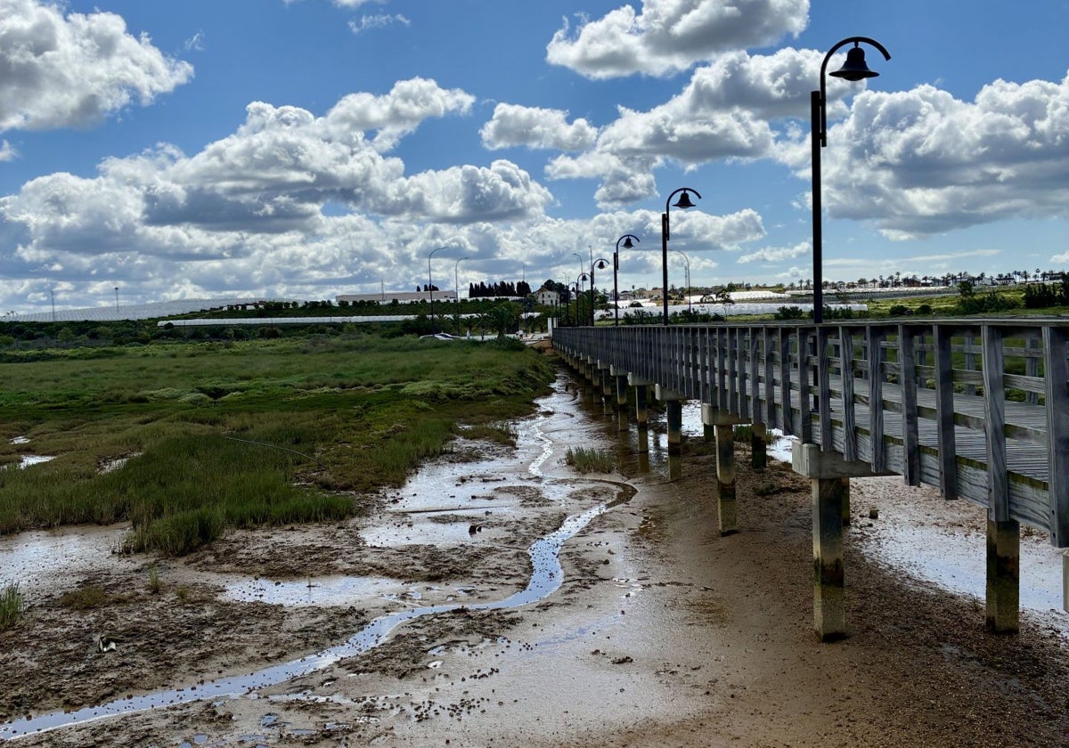 Zona de marisma junto al muelle de la Calzadilla de Palos