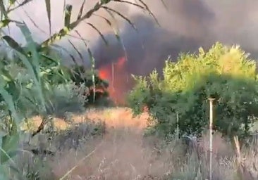 Despliegan medios aéreos para combatir un incendio forestal en Gibraleón