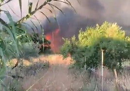 Despliegan medios aéreos para combatir un incendio forestal en Gibraleón