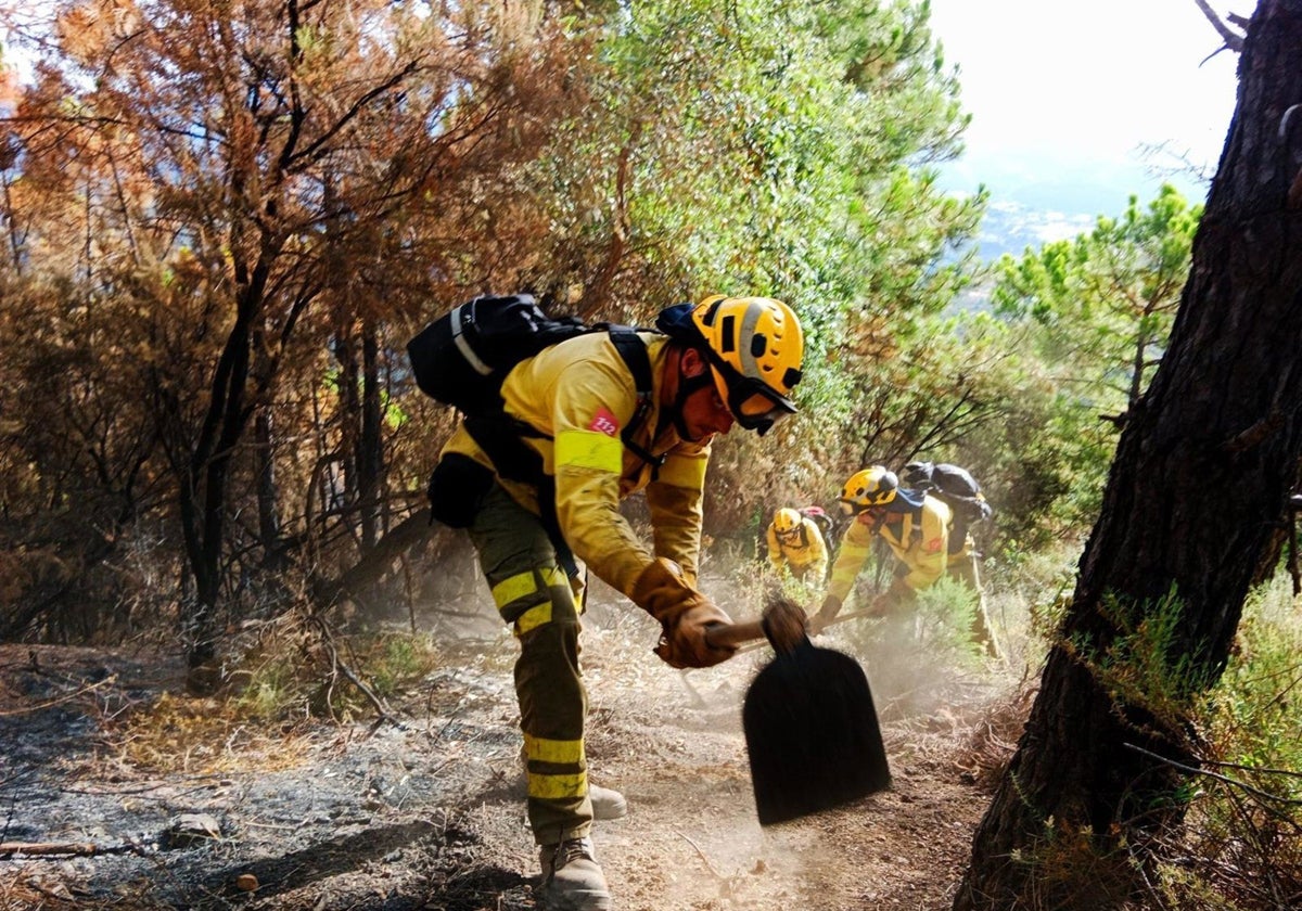 Bomberos forestales, en foto de archivo