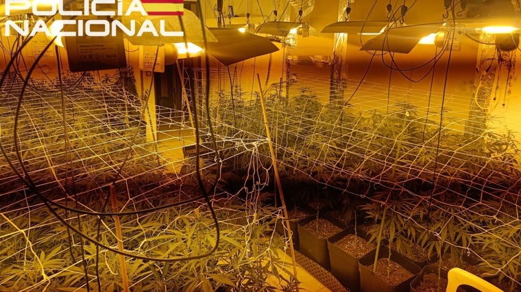 Un incendio destapa una plantación interior de marihuana en una asociación cannábica en pleno centro de Huelva