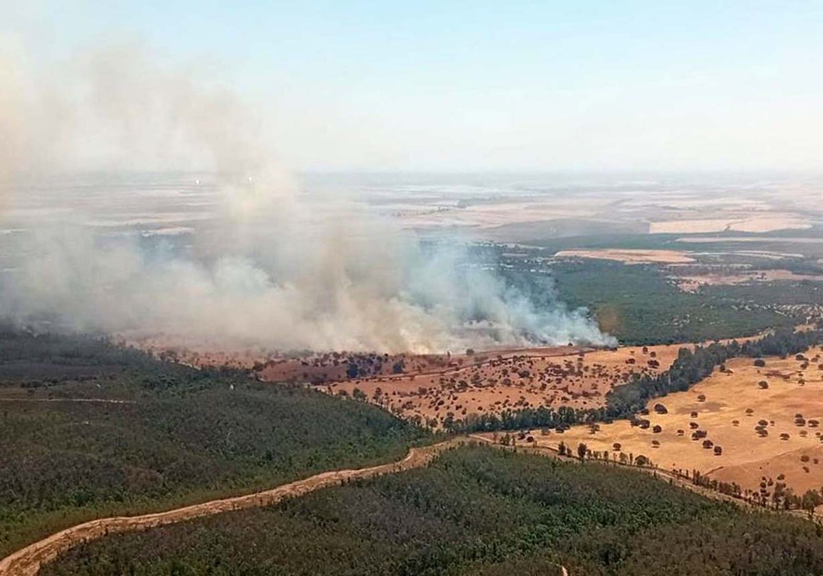 El incendio declarado en Escacena del Campo
