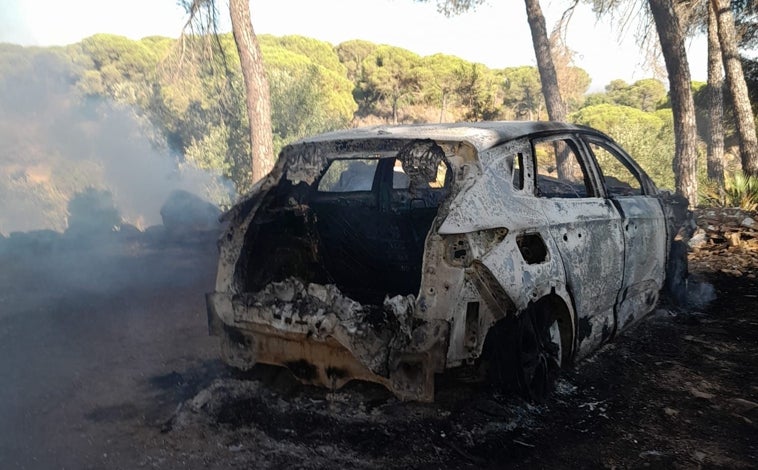 Imagen principal - Extinguido un incendio forestal en El Campillo