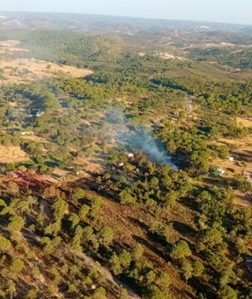 Imagen secundaria 2 - Extinguido un incendio forestal en El Campillo