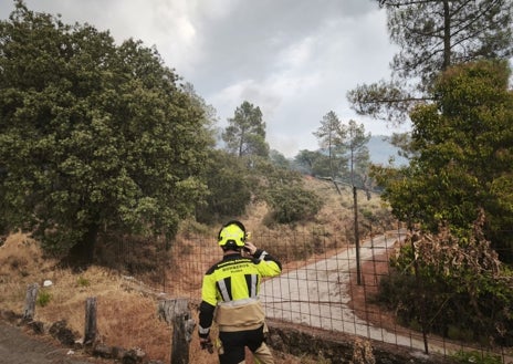 Imagen secundaria 1 - Incendio en Huelva: 200 vecinos de Jabugo desalojados por precaución ante la gran cantidad de humo