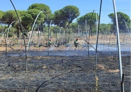 Un descuido en la quema de rastrojos estaría detrás del incendio declarado en el entorno del Rocío
