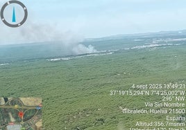 Estabilizado el incendio declarado en un paraje forestal de Cartaya